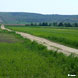 Grenzweg Alberndorf - Untermarkersdorf