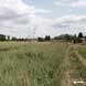 Blick von geplanter Trasse