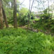 Pulkau flussab Landesstraßenbrücke
